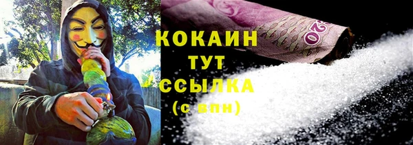 прущие грибы Медногорск