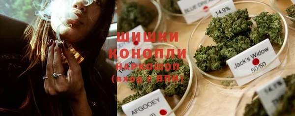 стаф Алзамай